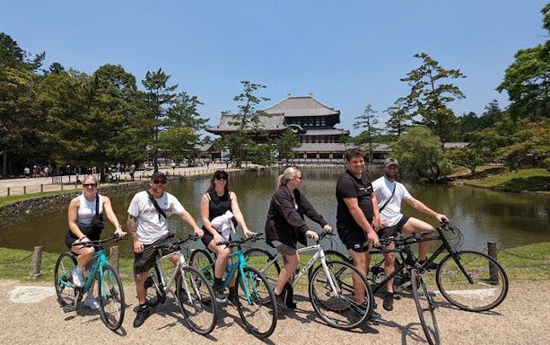 privétour per crossfiets voor gezinnen in nara, inclusief lunch-4