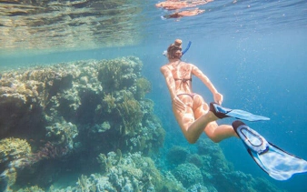 Snorkeler exploring coral reef in Sharm El Sheikh during private speedboat tour.