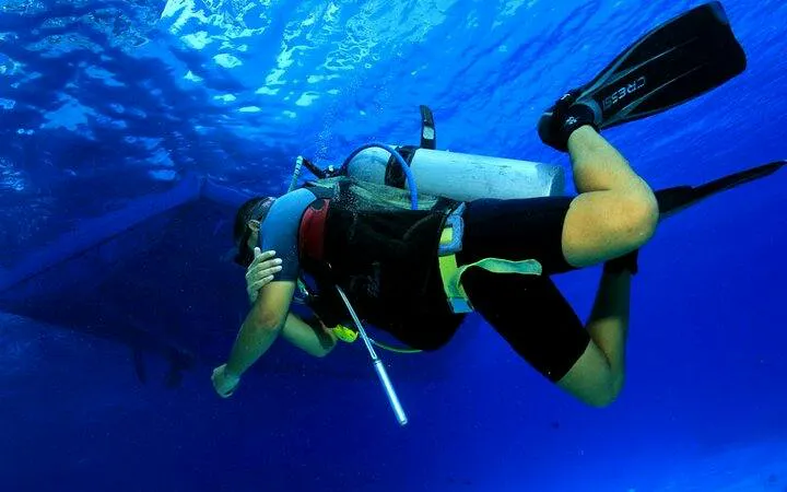 Diver exploring underwater near Tiran Island, Sharm el-Sheikh.
