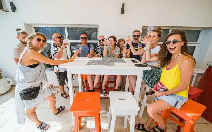 Group enjoying wine tasting on Korcula wine tour at a local winery.