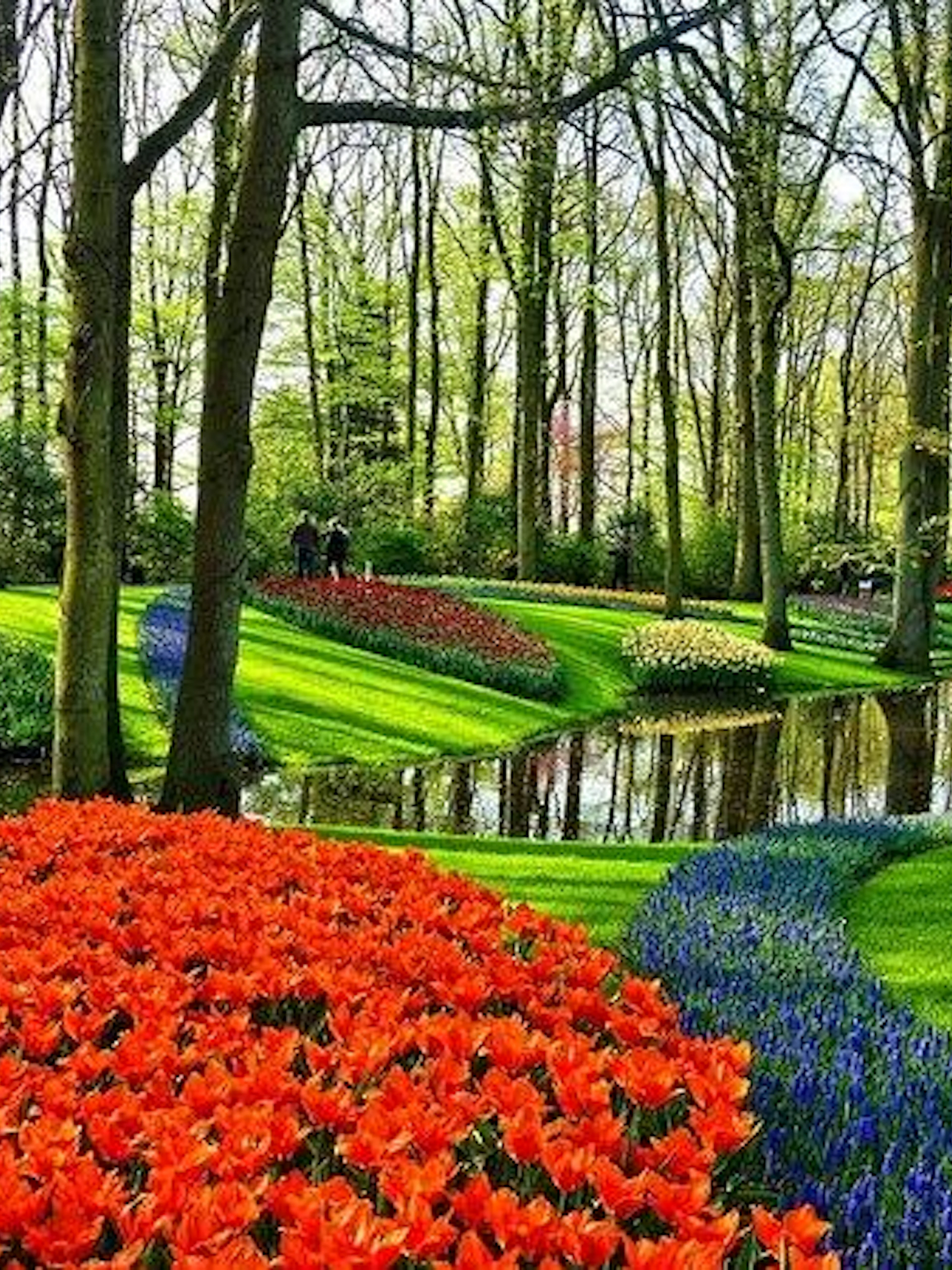 Delft and Keukenhof Gardens with vibrant tulips and trees, part of a guided day tour from Brussels.