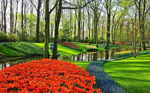 Delft and Keukenhof Gardens with vibrant tulips and trees, part of a guided day tour from Brussels.