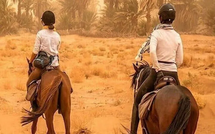 Experience Horse Riding in Palmeraie Grove & Transfer - Marrakesh Image 10