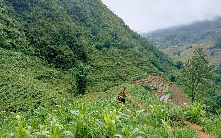 Trekker walking through terraced rice fields in Muong Hoa Valley, Sapa, with lush green hills.