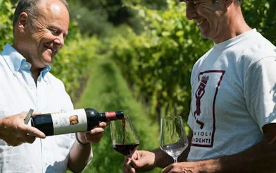 Two men enjoying wine tasting at a vineyard in Trentino Valle dei Laghi, Trento.