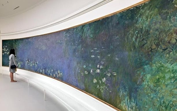 musée de l’orangerie in paris with open entry ticket-4