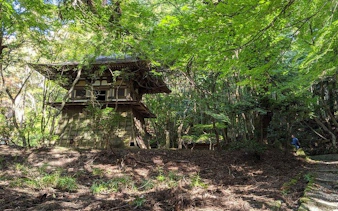 nara - private cross bike tour, hidden temple, nature, ancient sites, and sport-5