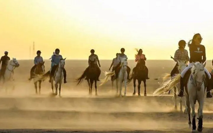 Horseback riders in desert at sunset, Sharm El Sheikh tour.