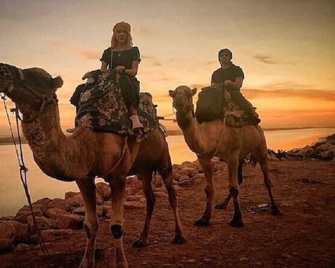 Camel Riding Palmeraie Valley 2 Hour ride & transfer - Marrakech (Product 55148)