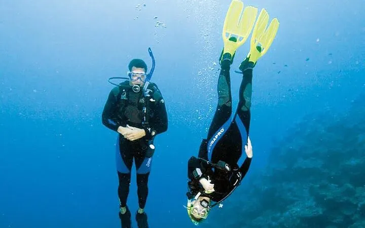Scuba divers exploring coral reef in Sharm El Sheikh.