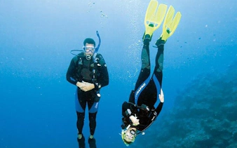 Scuba divers exploring coral reef in Sharm El Sheikh.