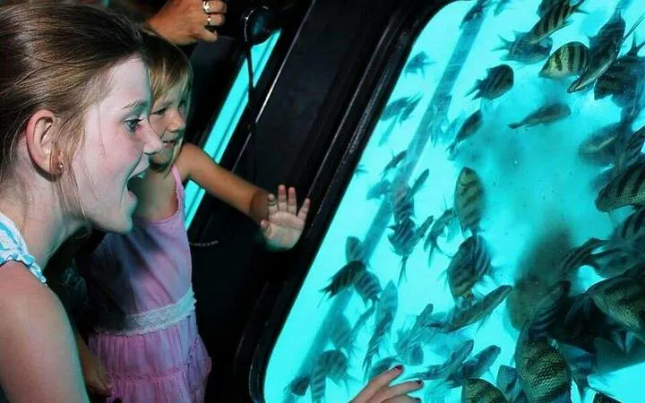 Children observing fish through a semi-submarine window, Sharm el-Sheikh sea trip.