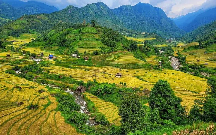 Sapa rice terraces and river in Muong Hoa Valley, Vietnam, with lush green hills.