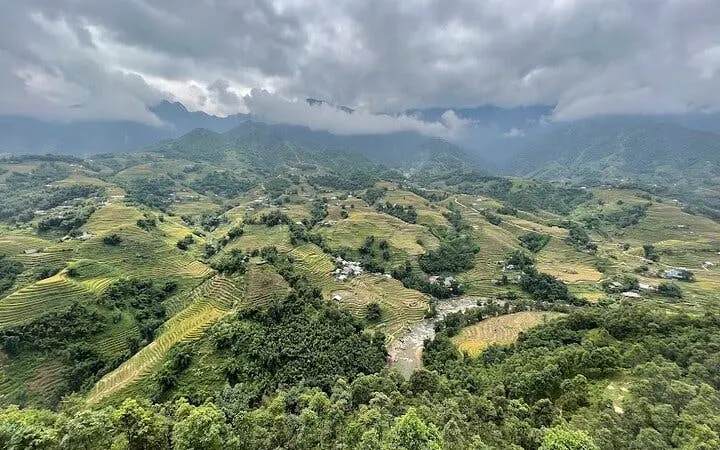 Terraced rice fields in Sa Pa with misty mountains in the background, Vietnam.