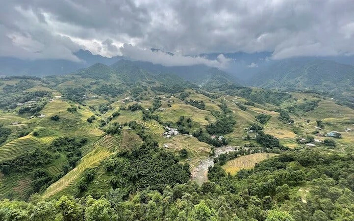 Terraced rice fields in Sa Pa with misty mountains in the background, Vietnam.