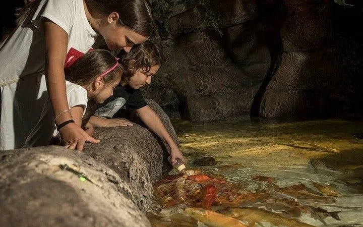 Children feeding fish at Antalya Aquarium.