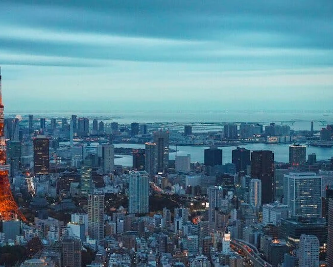 Tokyo Private Guided Tour: teamLab Borderless and Tokyo City View Observation Deck