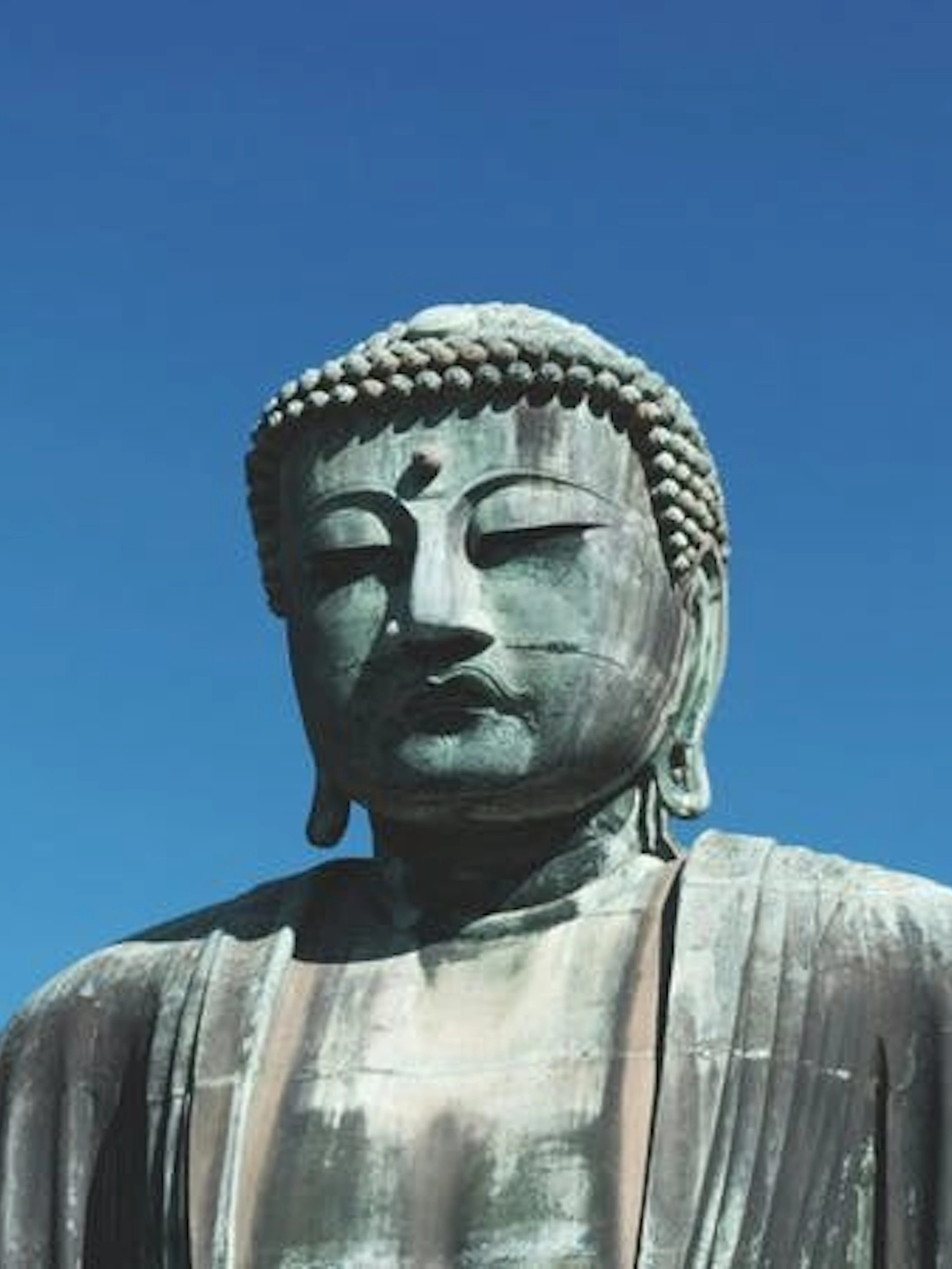 Great Buddha statue in Kamakura under clear blue sky.