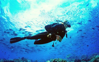 Scuba diver exploring vibrant coral reef and fish in Hurghada.