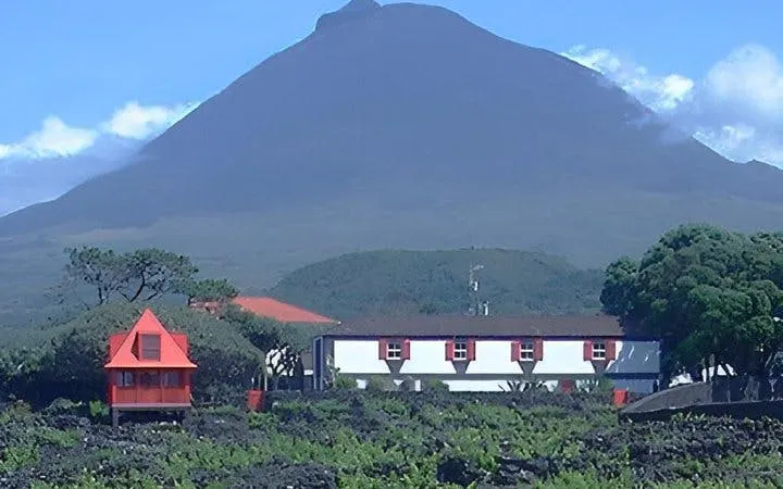 Pico Island Private Welcome Tour with Airport or Ferry Pickup and Scenic Drive Image 3