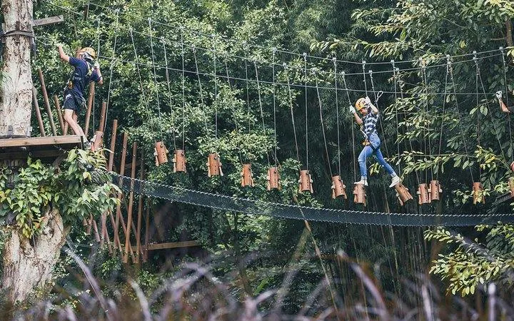 Participants navigating a high rope course at Phoenix Zipline Adventure Park, Chiang Mai.