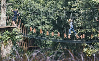 Participants navigating a high rope course at Phoenix Zipline Adventure Park, Chiang Mai.