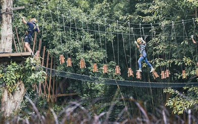 Participants navigating a high rope course at Phoenix Zipline Adventure Park, Chiang Mai.