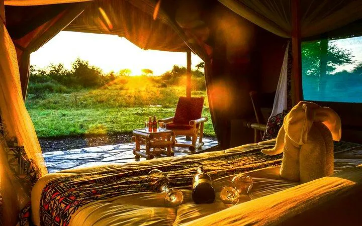 From Arusha: 3-Day Serengeti & Tarangire Safari with Return Flight to Arusha