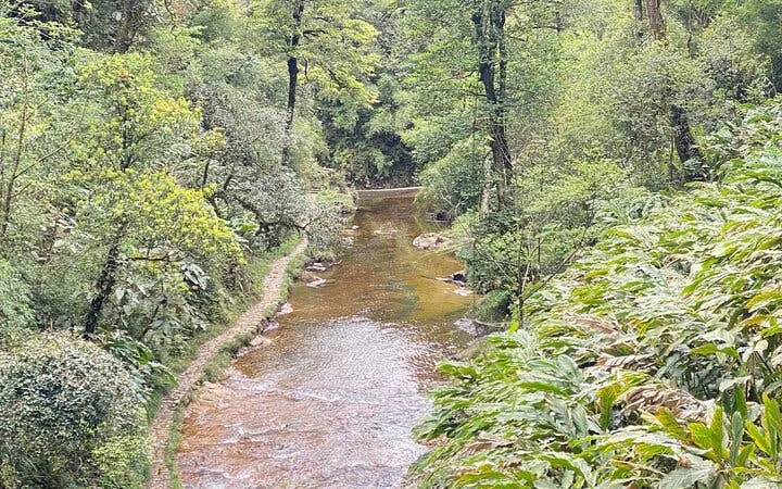 River path through lush green forest in Sapa, Vietnam, on a guided motorbike tour.