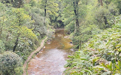 River path through lush green forest in Sapa, Vietnam, on a guided motorbike tour.