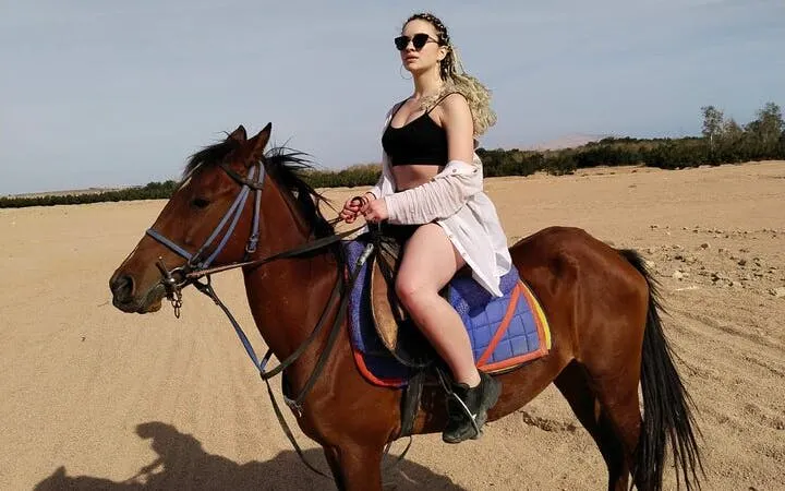 Horse Riding At Desert 2 Hours with Transfer - Sharm El Sheikh Image 10