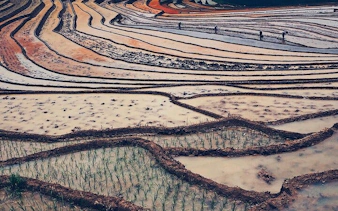 Rice terraces in Sapa with farmers working, part of a trekking tour through minority villages.