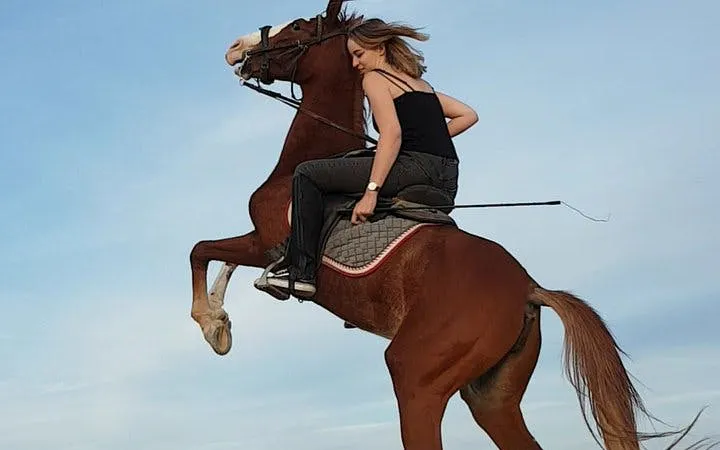 Horse Riding One Hour at Desert With Transfer - Sharm El Sheikh Image 10