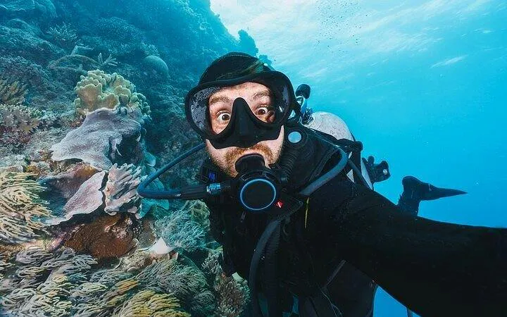 Diver exploring coral reef at Tiran Island, Sharm El Sheikh.