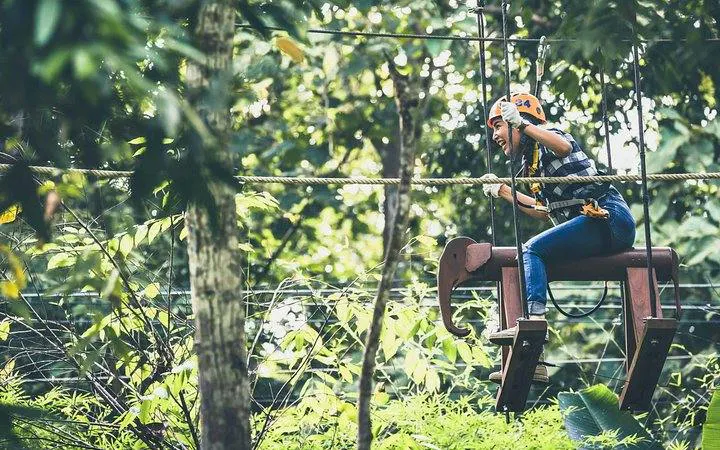 Person navigating high rope course at Phoenix Zipline Adventure Park, Chiang Mai.