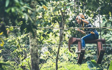 Person navigating high rope course at Phoenix Zipline Adventure Park, Chiang Mai.