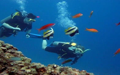 Scuba divers exploring coral reef with colorful fish in Hurghada.
