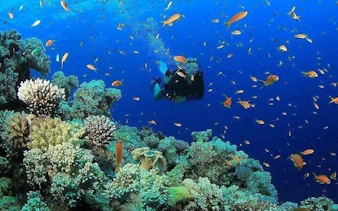 antalya scuba diving & snorkeling tour with lunch-7