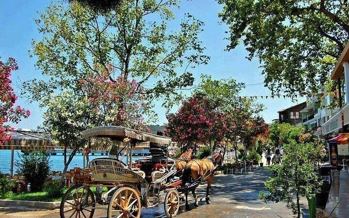 istanbul all-inclusive princes’ islands tour+lunch & hotel pickup-2