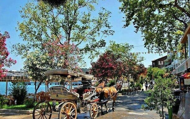 istanbul all-inclusive princes’ islands tour+lunch & hotel pickup-2
