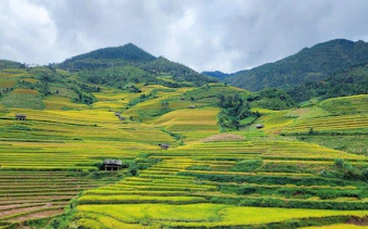 Terraced rice fields in Sapa, Vietnam with lush green hills and cloudy sky.
