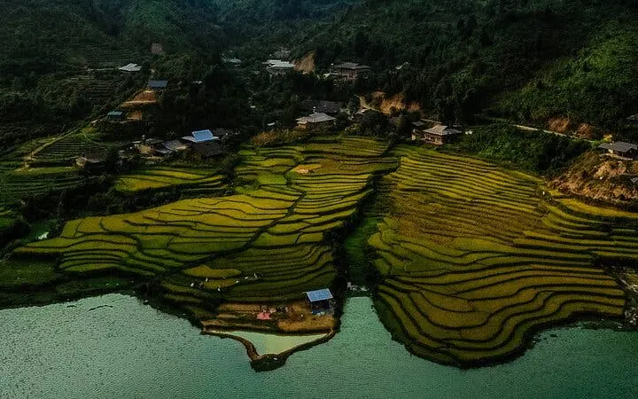 Terraced rice fields in Sapa, Vietnam, near a river, surrounded by lush greenery.