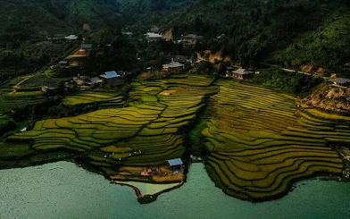 Terraced rice fields in Sapa, Vietnam, near a river, surrounded by lush greenery.
