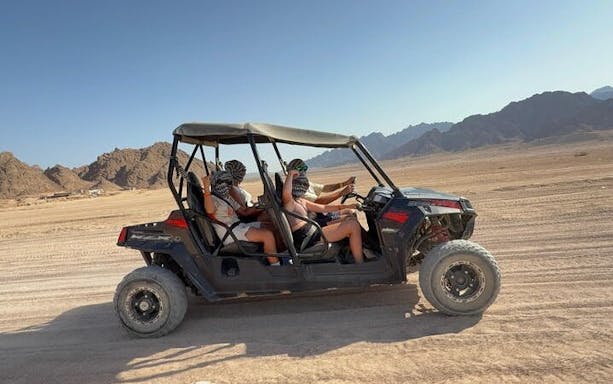 family car buggy sharm el sheikh-4