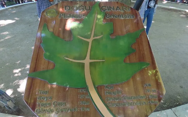 Bursa Uludag tour sign with tree illustration and information.