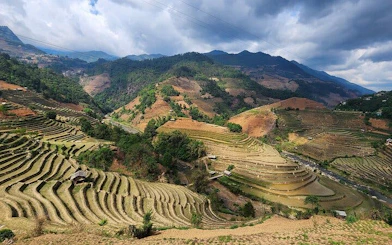 Terraced rice fields in Mu Cang Chai, Vietnam, with mountains in the background.