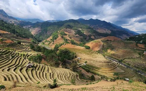 Terraced rice fields in Mu Cang Chai, Vietnam, with mountains in the background.