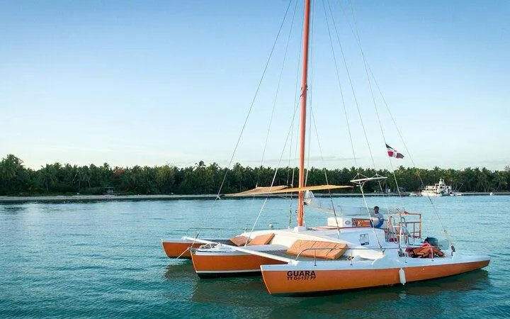 Sailing catamaran in Punta Cana Natural Reserve with palm-lined shore in background.