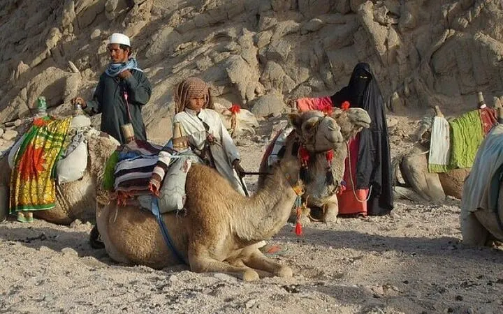 Camel ride experience in Sharm El Sheikh desert with Bedouin guides.
