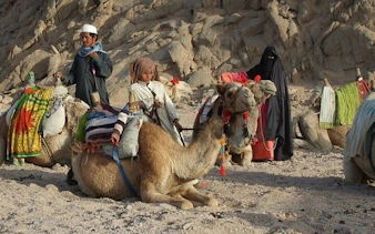Camel ride experience in Sharm El Sheikh desert with Bedouin guides.